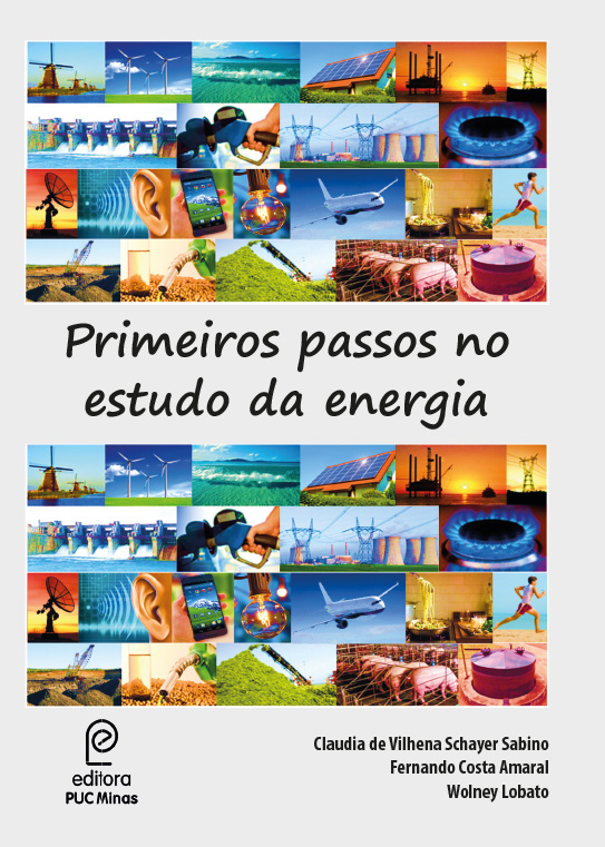 Primeiros passos no estudo da energia